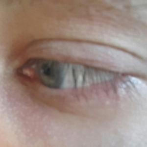 dutchyguy